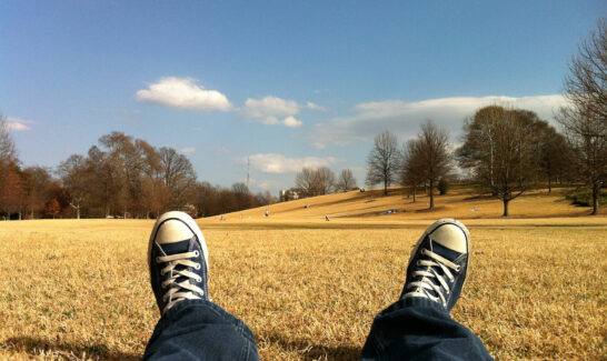 blog-6